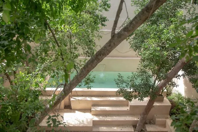 Casa Arrayan Jungle Apartment *